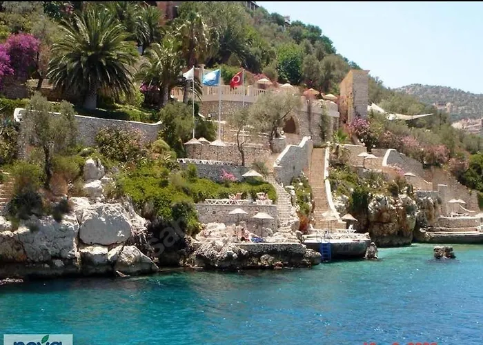 Sea View Bougainvillea 52